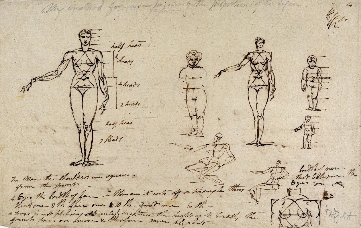 Studien der Anatomie mit Messungen und Schrift von James Ward