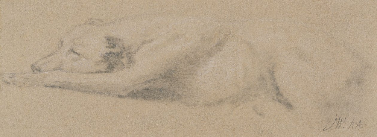 Studie eines schlafenden Hundes von James Ward