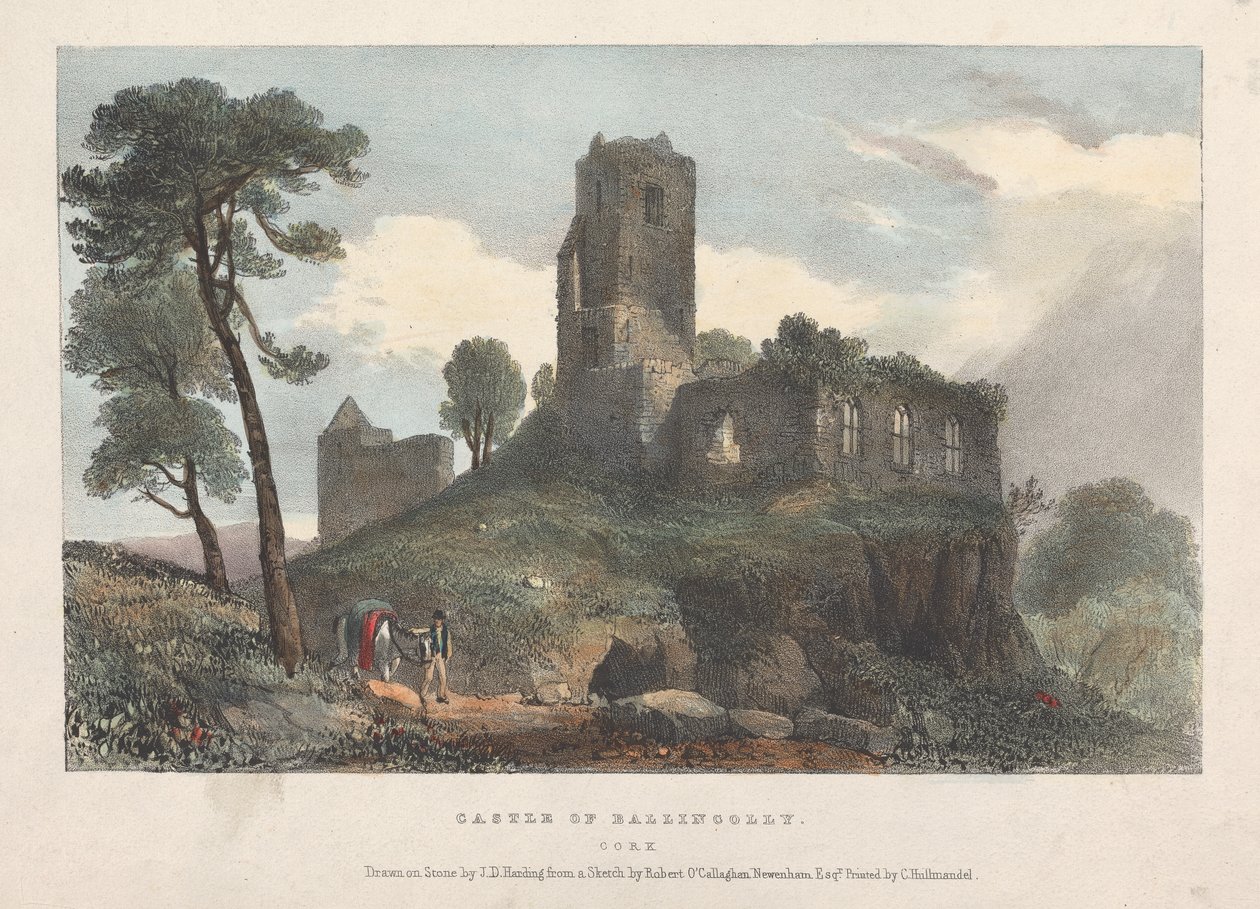 Schloss Ballincolly von James Duffield Harding
