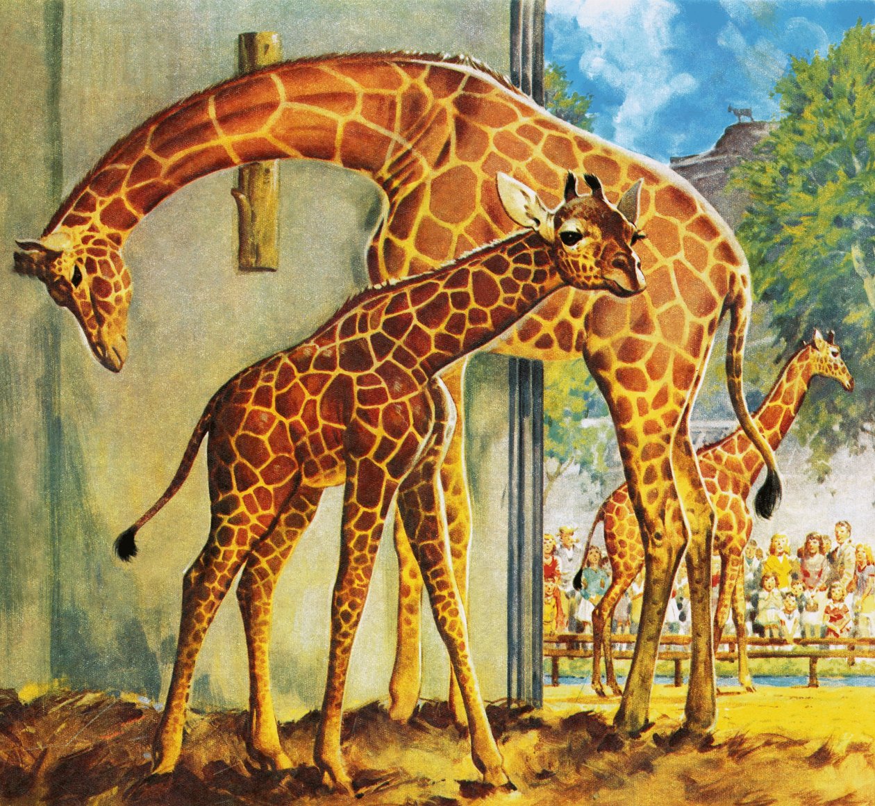 Virginia die Giraffe von James Edwin McConnell
