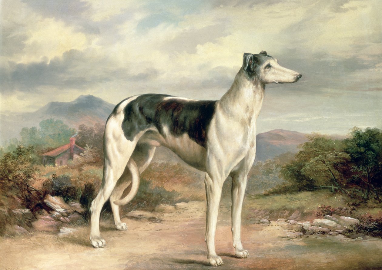 Ein Windhund in einer hügeligen Landschaft von James Henry Beard