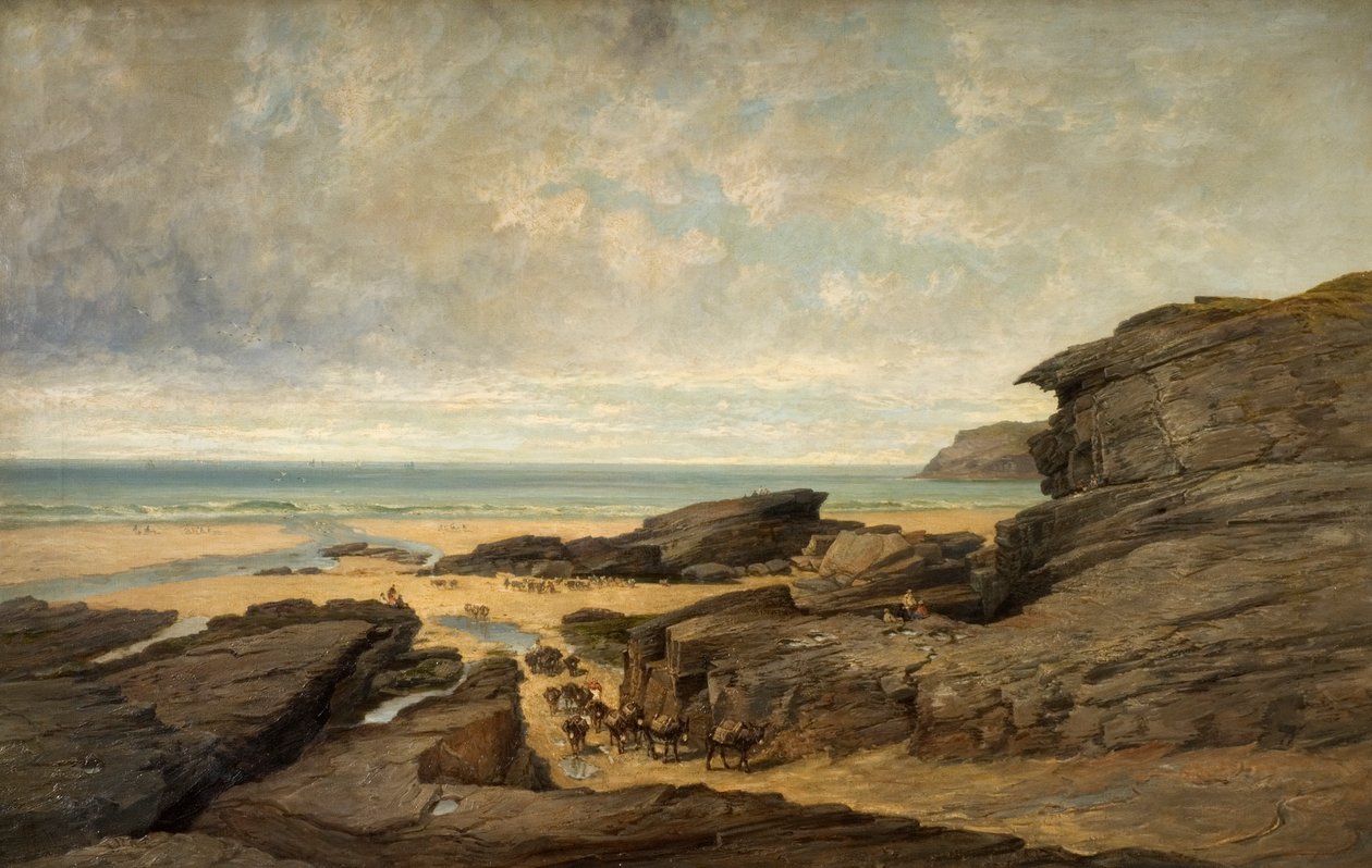Niedrigwasser, Trebarwith Strand, Tintagel, Cornwall von James Holland