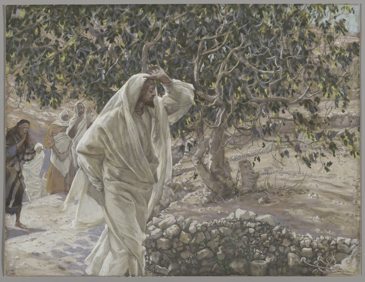 Der verfluchte Feigenbaum, Illustration aus Das Leben unseres Herrn Jesus Christus, 1886-94 von James Jacques Joseph Tissot