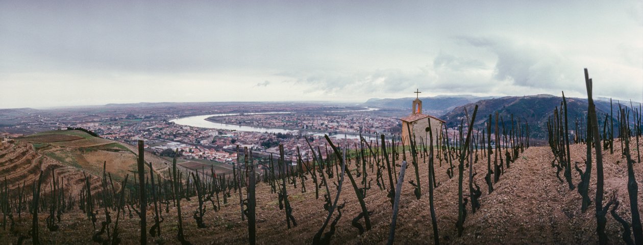 Ein Weinberg mit Blick auf die Stadt und den Fluss Rhone. SOCIETE PAUL JABOULET AINE WEIN... von James L Stanfield