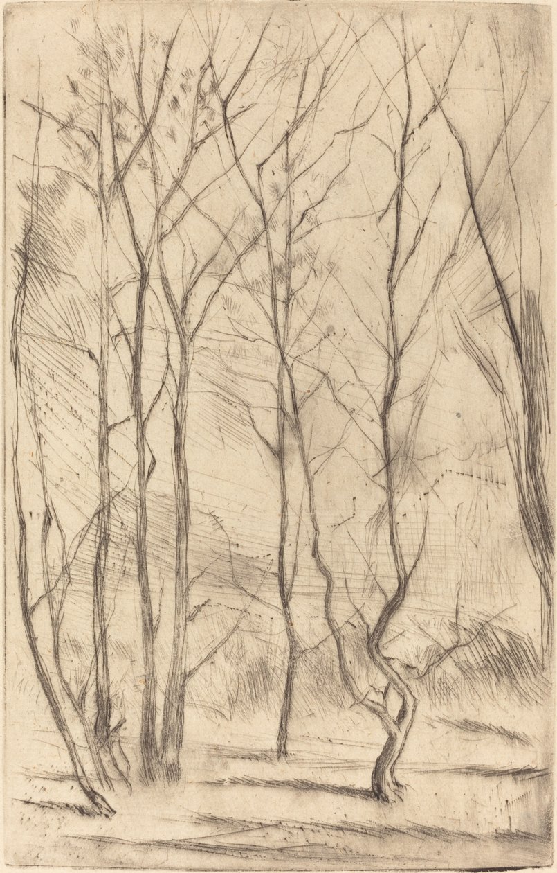 Der Dammwald von James Abbott McNeill Whistler