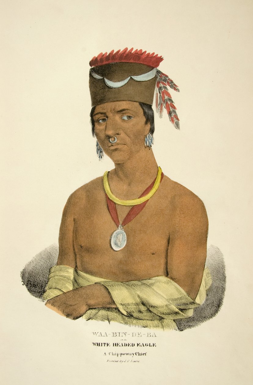 Waa-bin-de-ba oder der Weißkopf-Adler von James Otto Lewis
