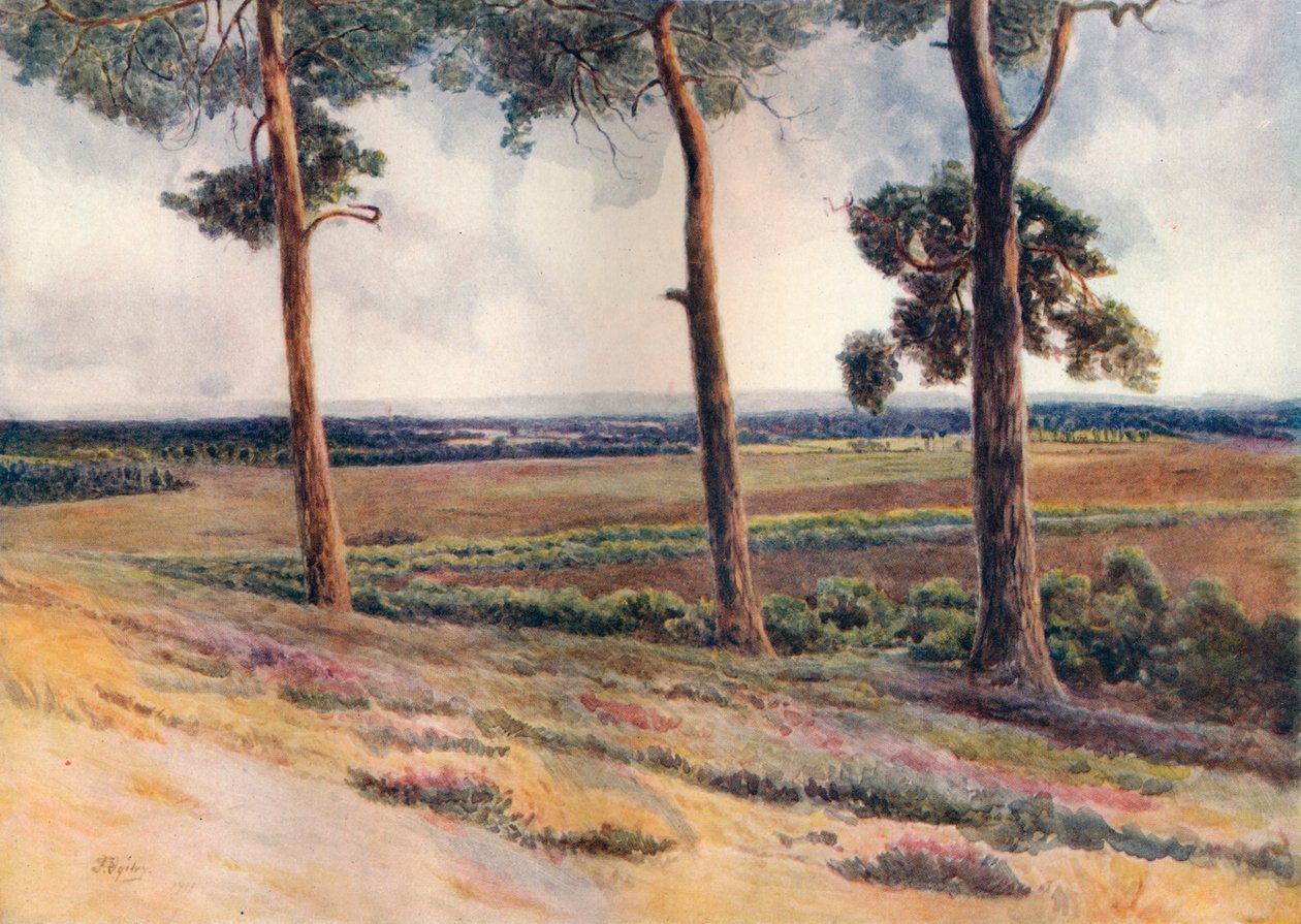 Blick von Staple Hill, 1911 von James S Ogilvy