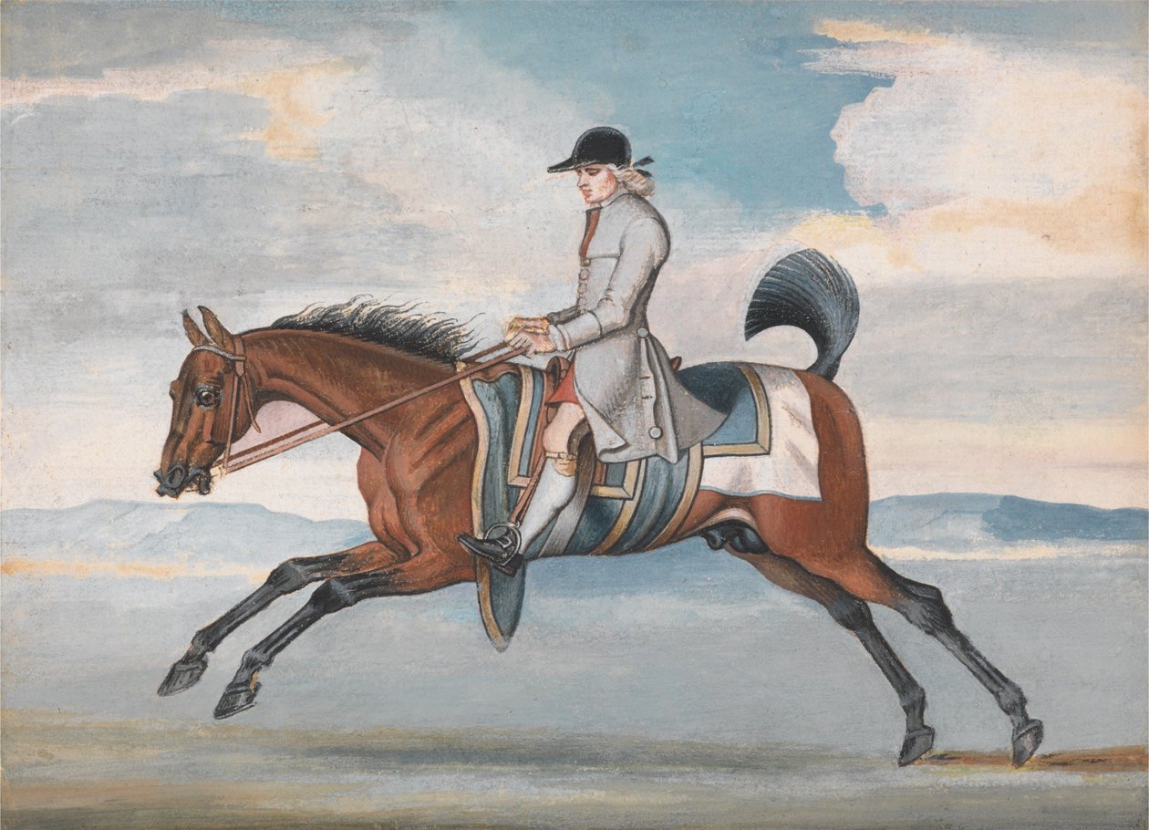 Rennpferd beim Training, geritten von einem Trainingsjockey von James Seymour