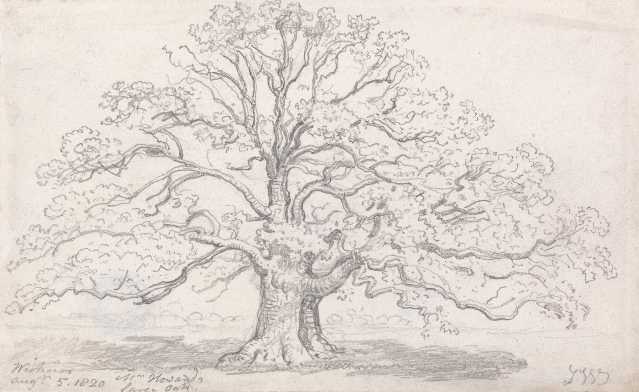 Mr. Howards große Eiche, 5. August 1820 von James Ward