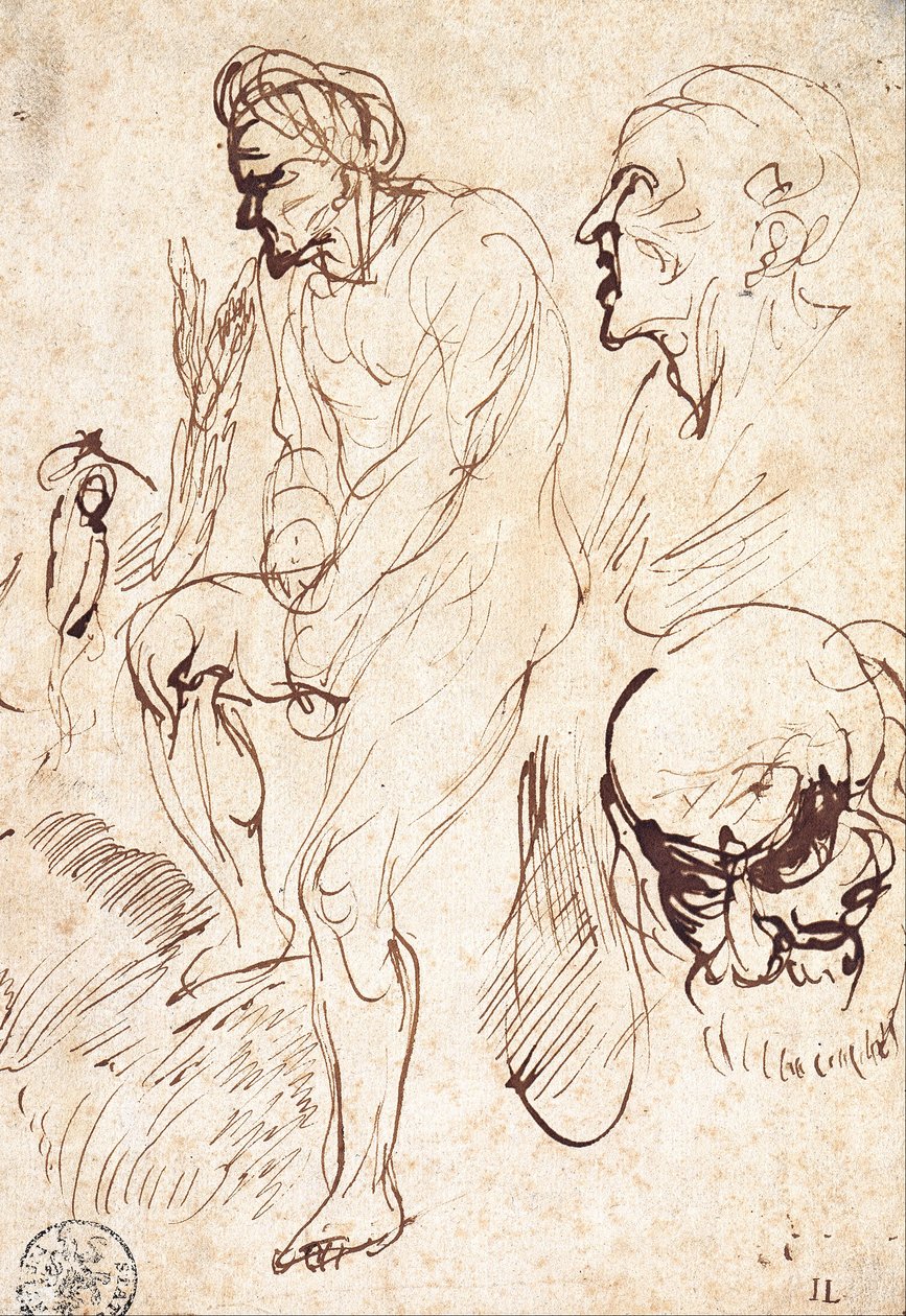 Studien nach dem Modell von Jan the Elder Lievens
