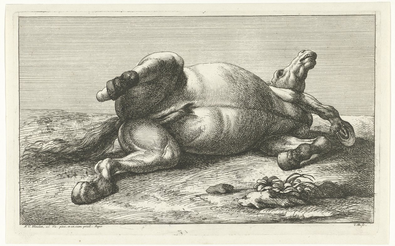 Im Kampf gefallene Pferde auf dem Rücken liegend von Jan van Huchtenburgh  
