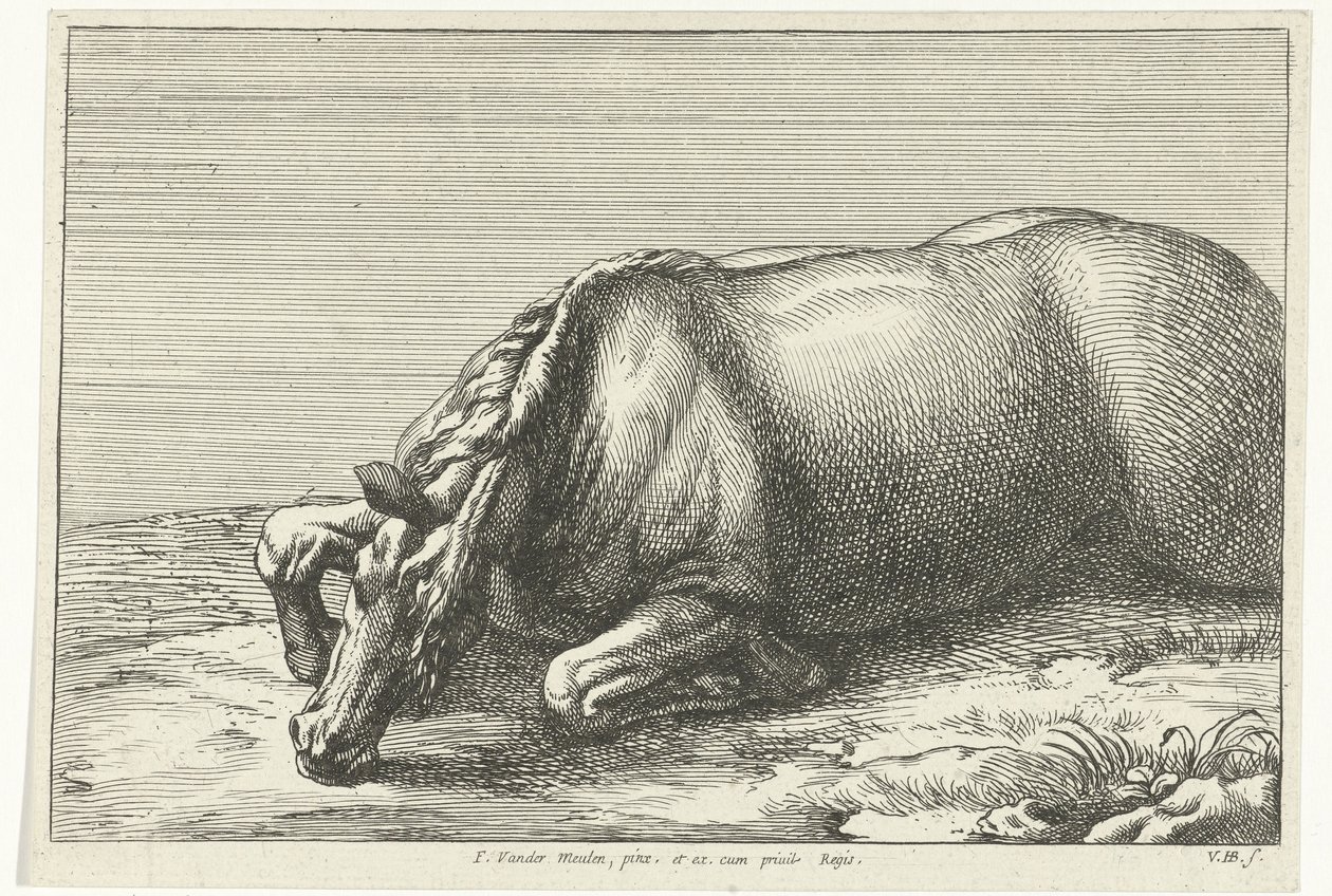 Getötetes Pferd von der linken Seite gesehen von Jan van Huchtenburgh