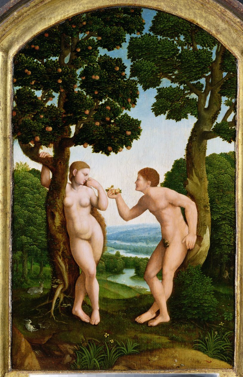 Adam und Eva im Paradies von Jan van Scorel