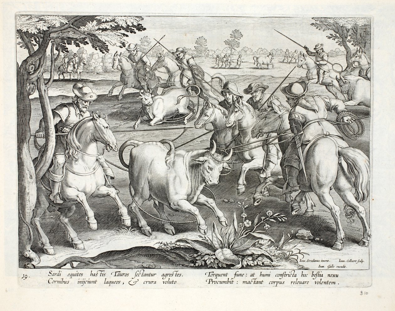 Sardische Reiter fangen Stiere mit Seilen, Illustration aus 
