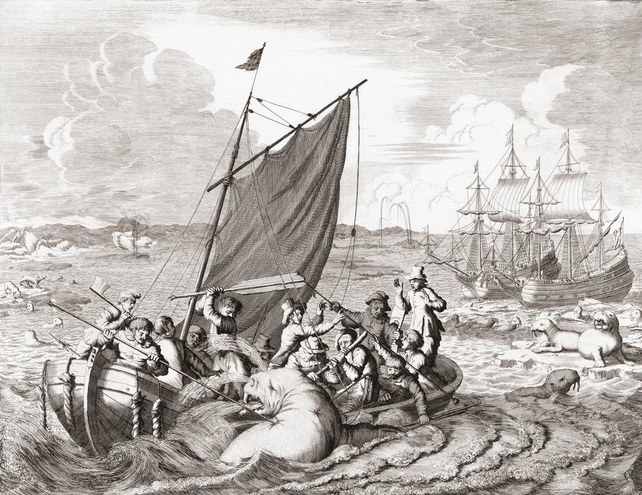 Walrossjäger im 16. Jahrhundert (Gravur) von Jan (after) Luyken