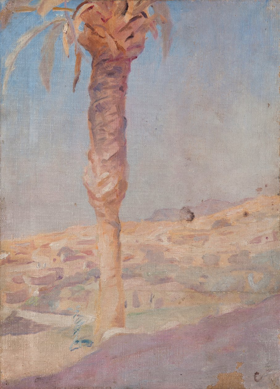 Spanien (Crevillente) von Jan Ciągliński