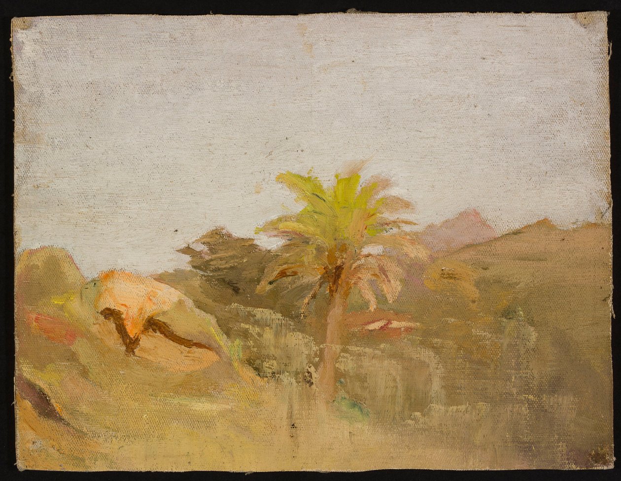 Palme auf Ceylon. Aus einer Reise nach Indien von Jan Ciągliński