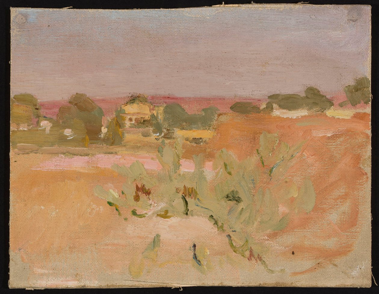 Rosa Landschaft mit Kakteen. Aus einer Reise nach Indien von Jan Ciągliński