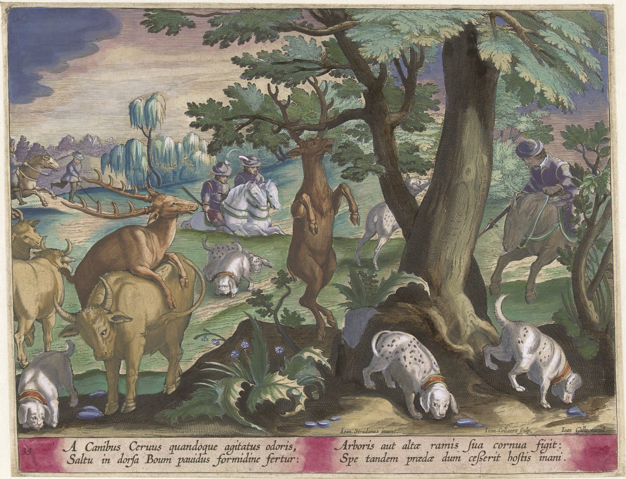 Hirschjagd mit Hunden von Jan Collaert