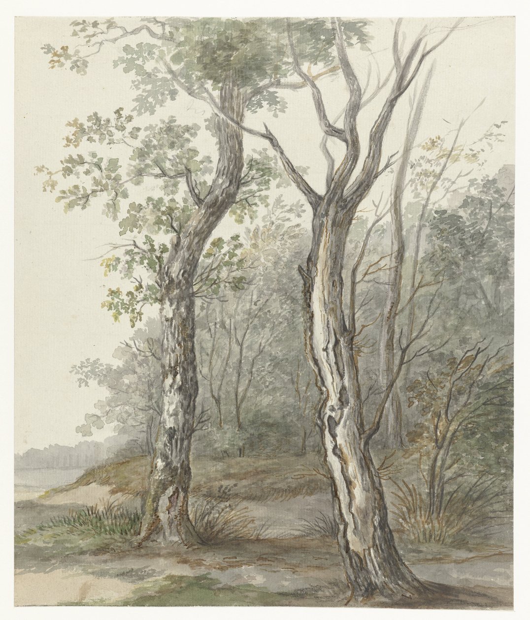 Waldlandschaft von Jan Dasveldt