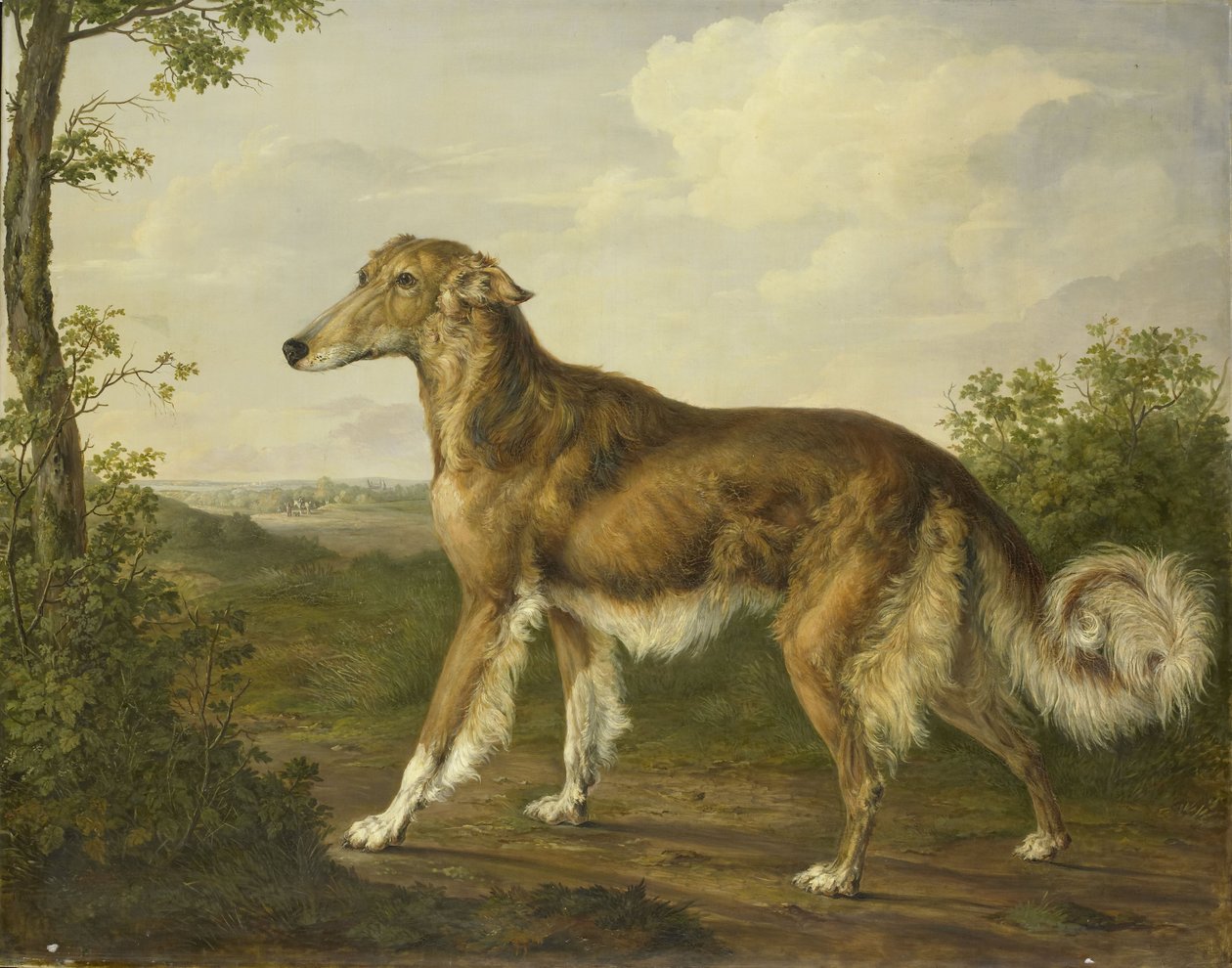 Sibirischer Windhund, um 1825 von Jan Dasveldt