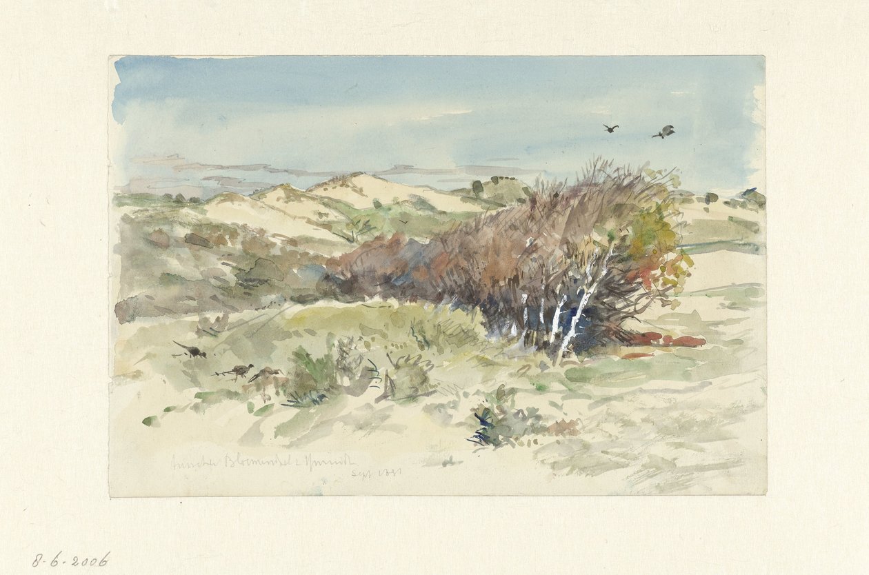 Dünenlandschaft zwischen Bloemendaal und IJmuiden von Jan Hoynck van Papendrecht
