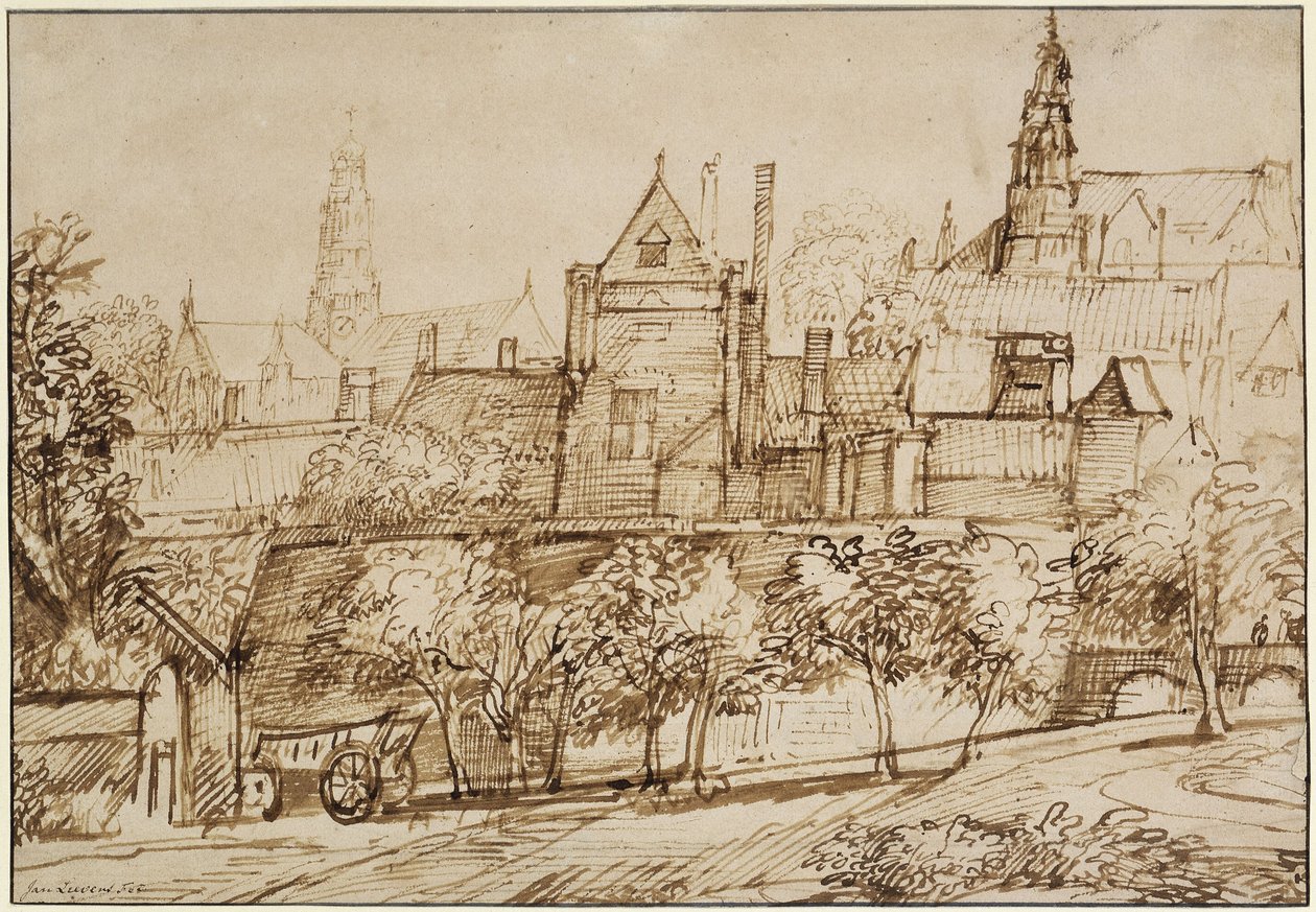 Blick auf die Groote Kerk in Haarlem von Jan Lievens