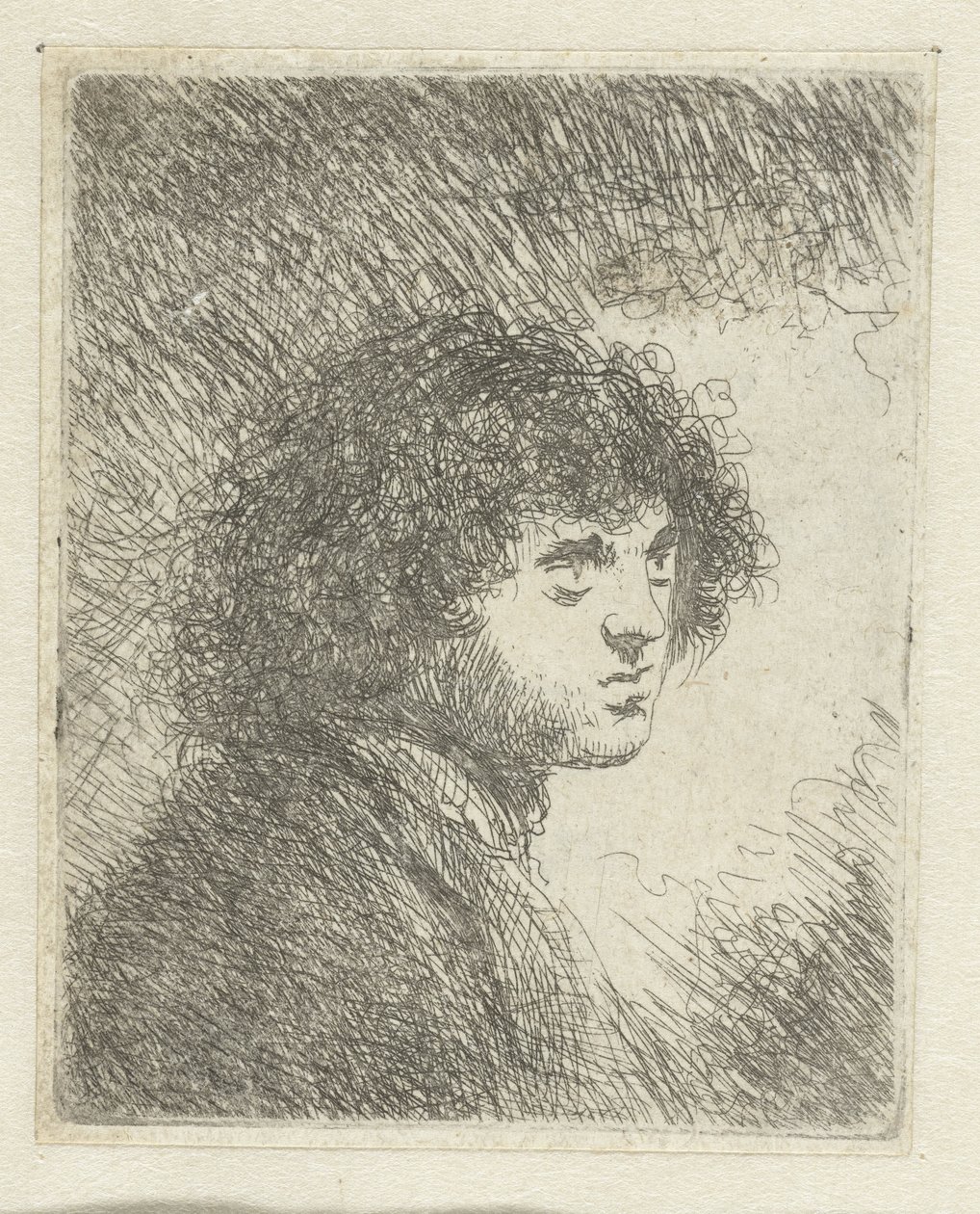 Büste eines jungen Mannes von Jan Lievens