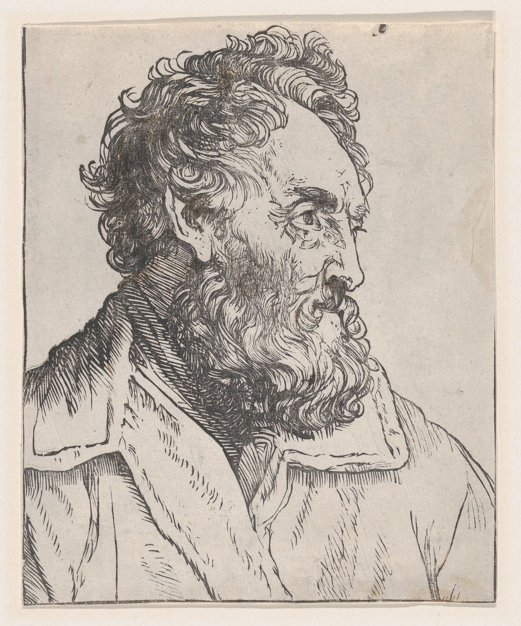 Kopf eines Mannes von Jan Lievens