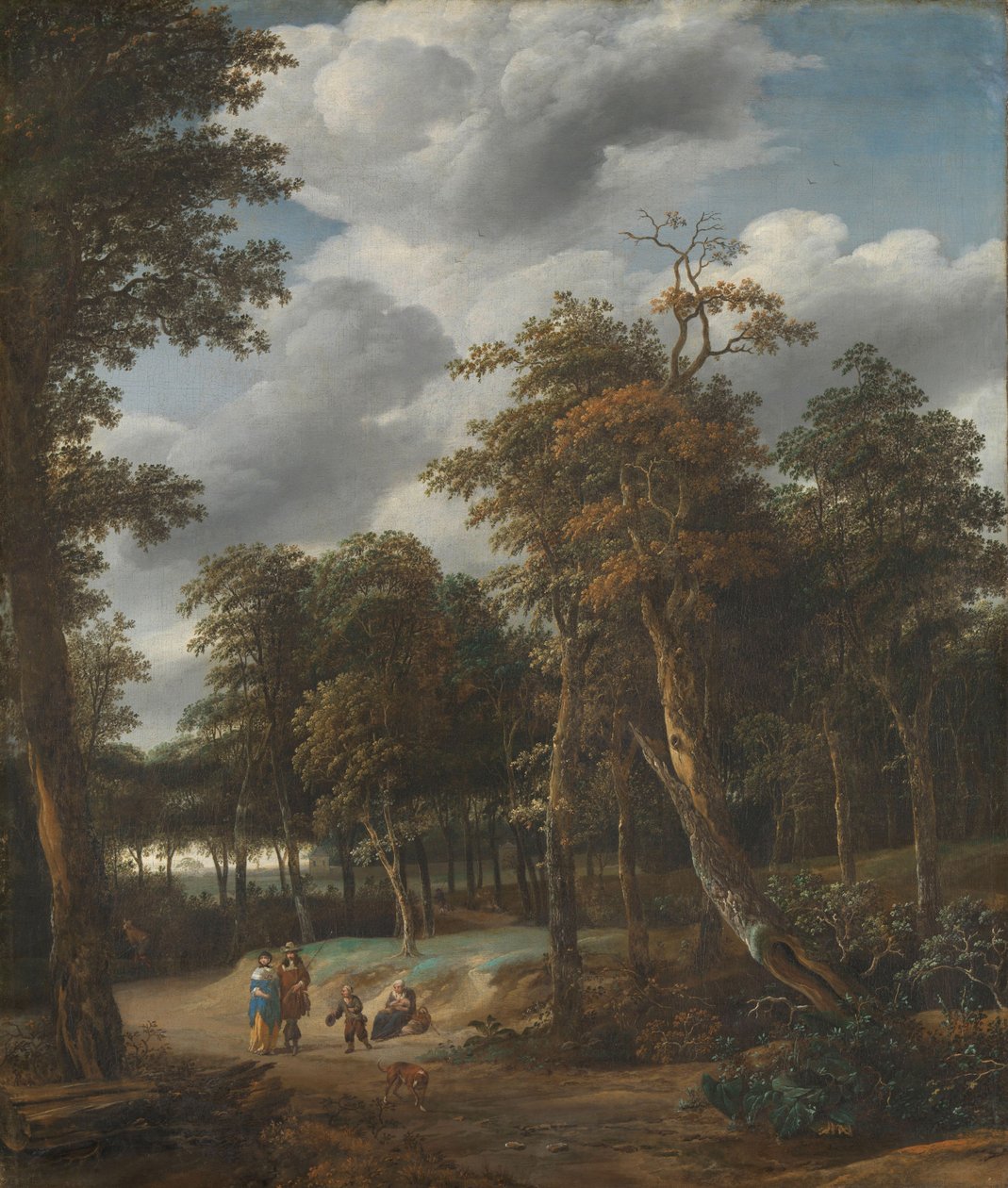 Waldweg von Jan Looten