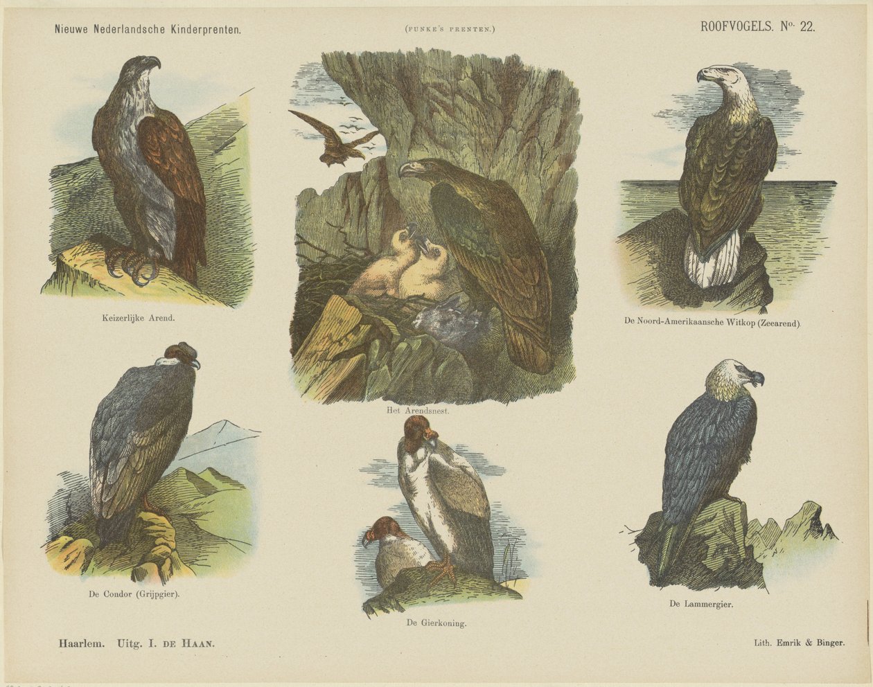 Raubvögel von Jan de Haan