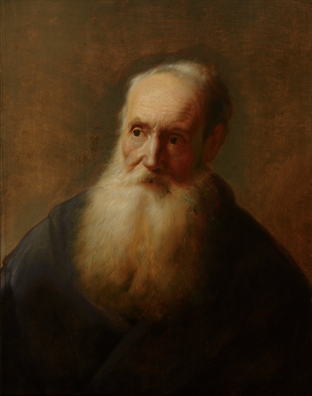 Tronie eines alten Mannes von Jan the Elder after Lievens