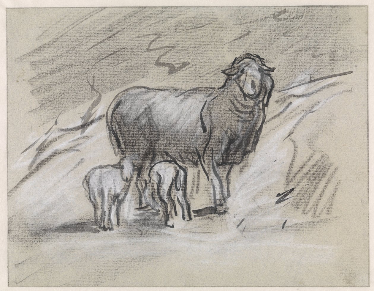 Schaf mit zwei Lämmern von Jan van Essen