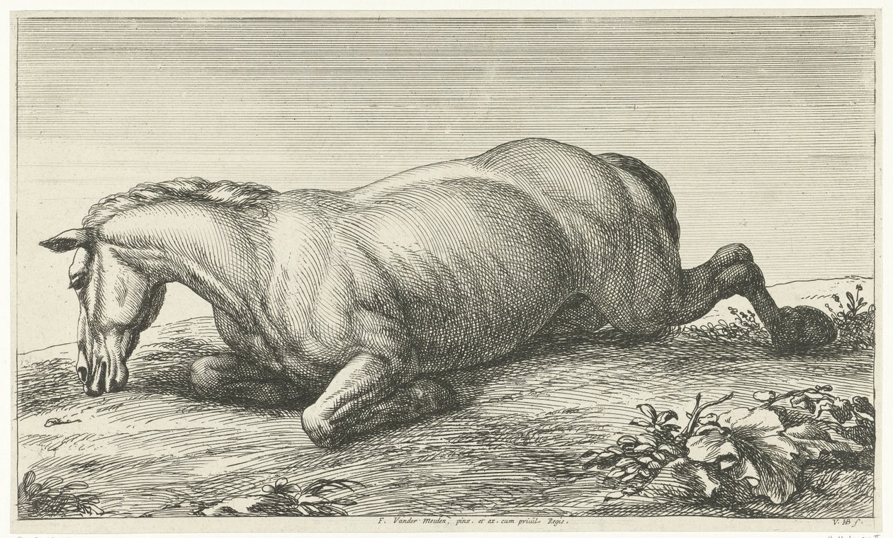 Gesneuveld paard op de buik liggend von Jan van Huchtenburg