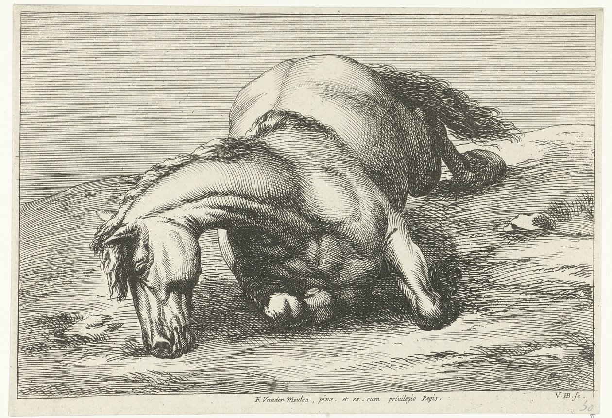 Gesneuveltes Pferd auf der rechten Seite liegend von Jan van Huchtenburg