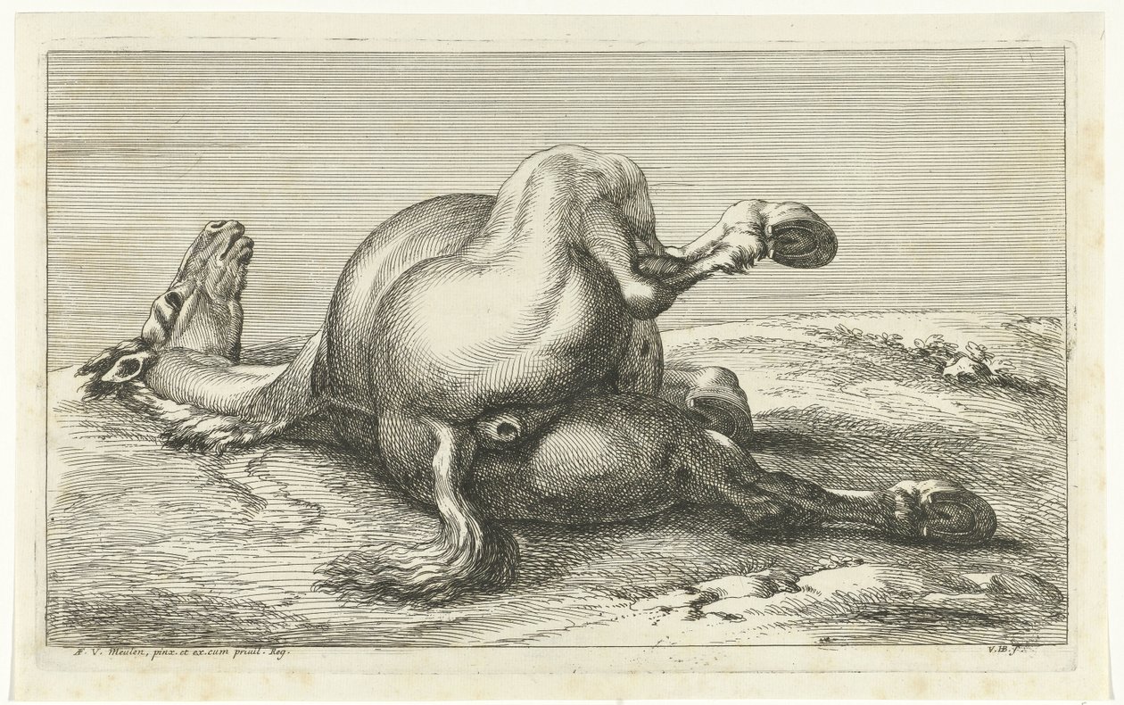 Gefallenes Pferd von hinten gesehen von Jan van Huchtenburg