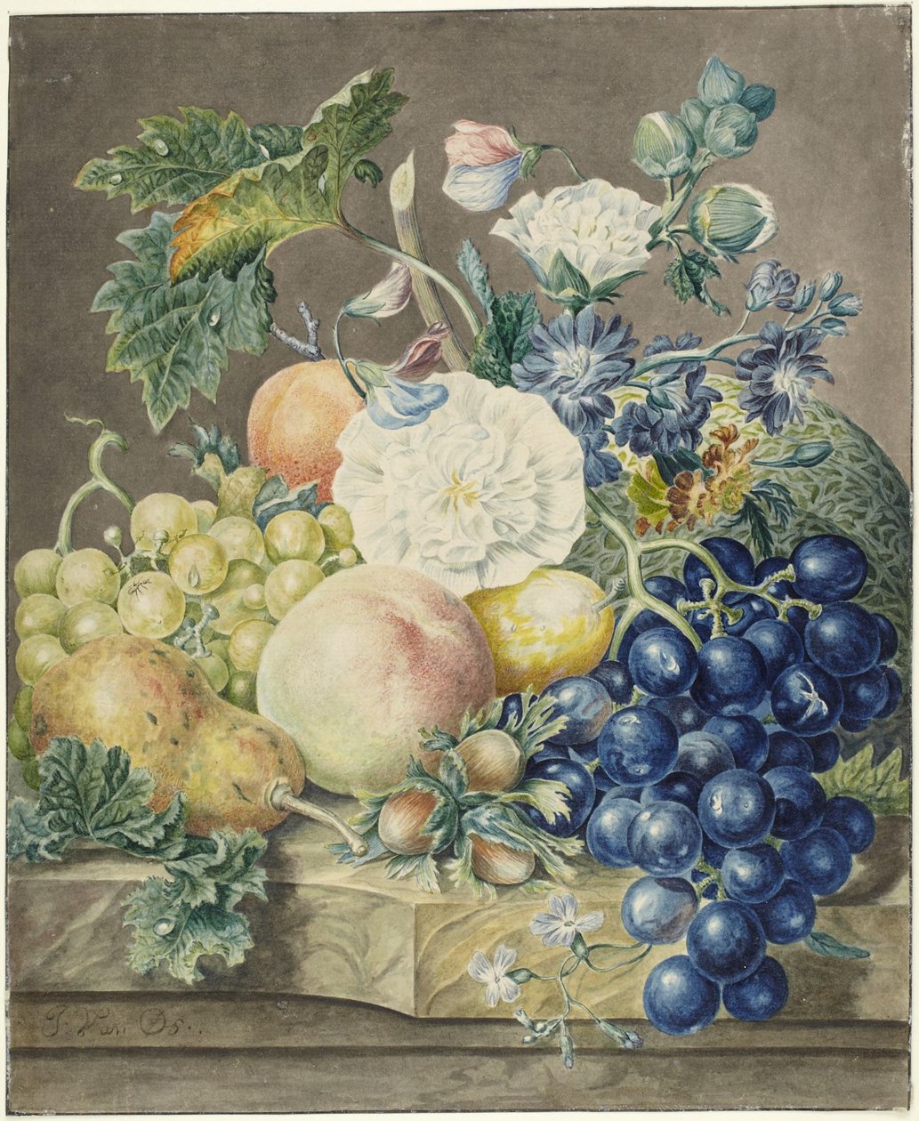 Stillleben von Jan van Os