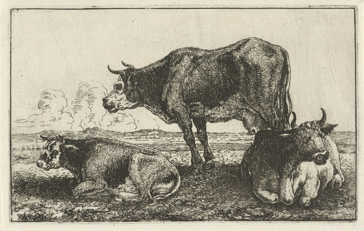 Drei Kühe von Jan van den Hecke