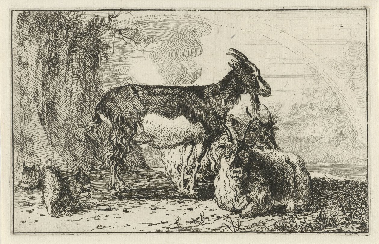 Ziegen (Tiere, Zoographiam) von Jan van den Hecke