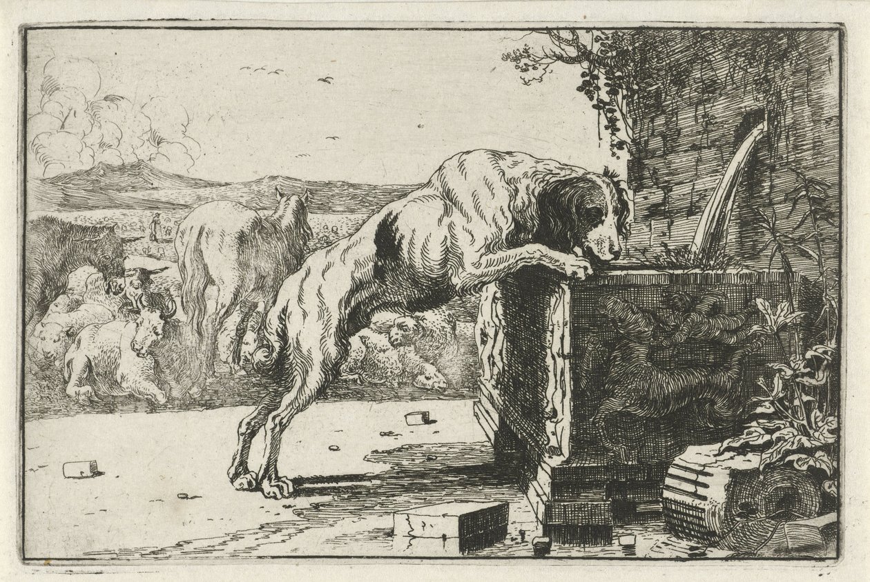 Hund bei einem Brunnen von Jan van den Hecke