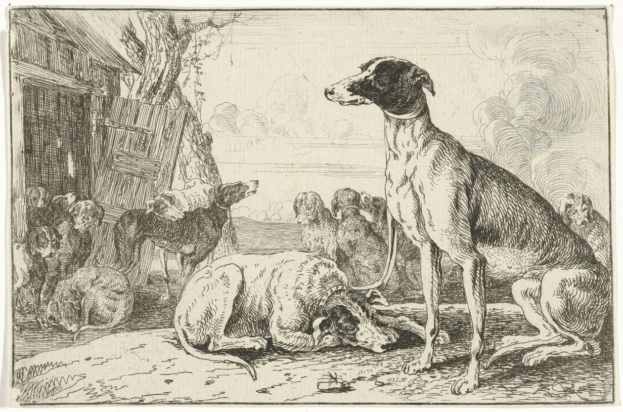 Hundezwinger von Jan van den Hecke