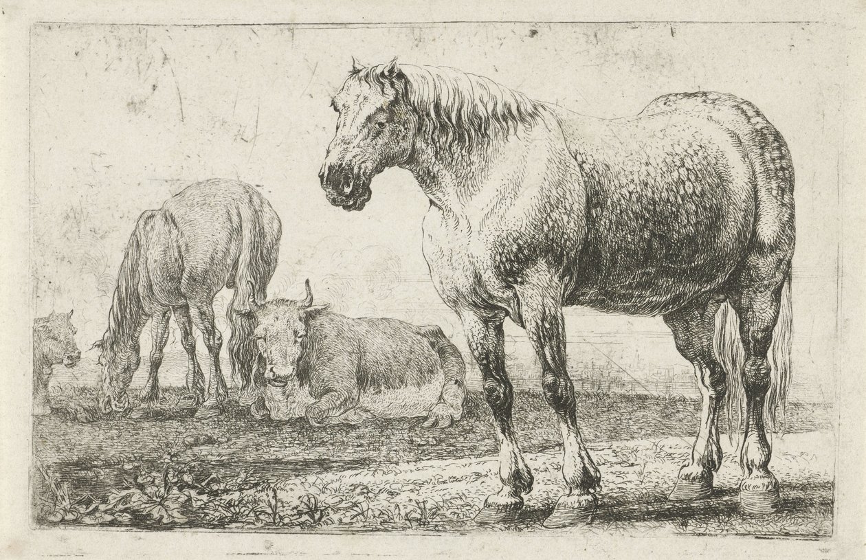 Pferde und Kühe (Serie: Dieren, Zoographiam) von Jan van den Hecke