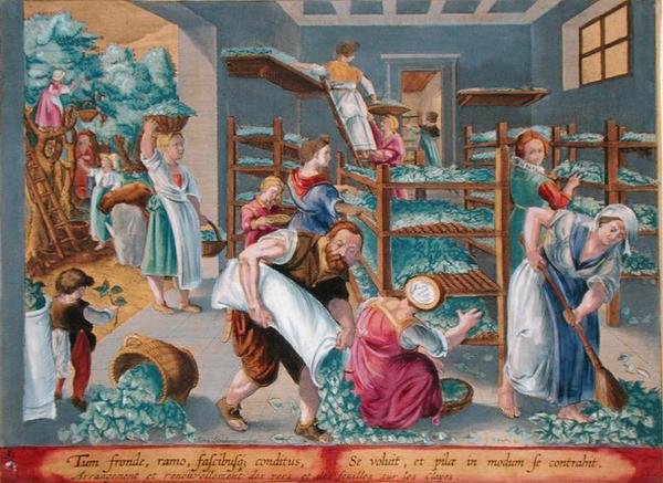Frauen, die Regale mit Maulbeerblättern für die Seidenraupen auslegen, Tafel 5 aus 