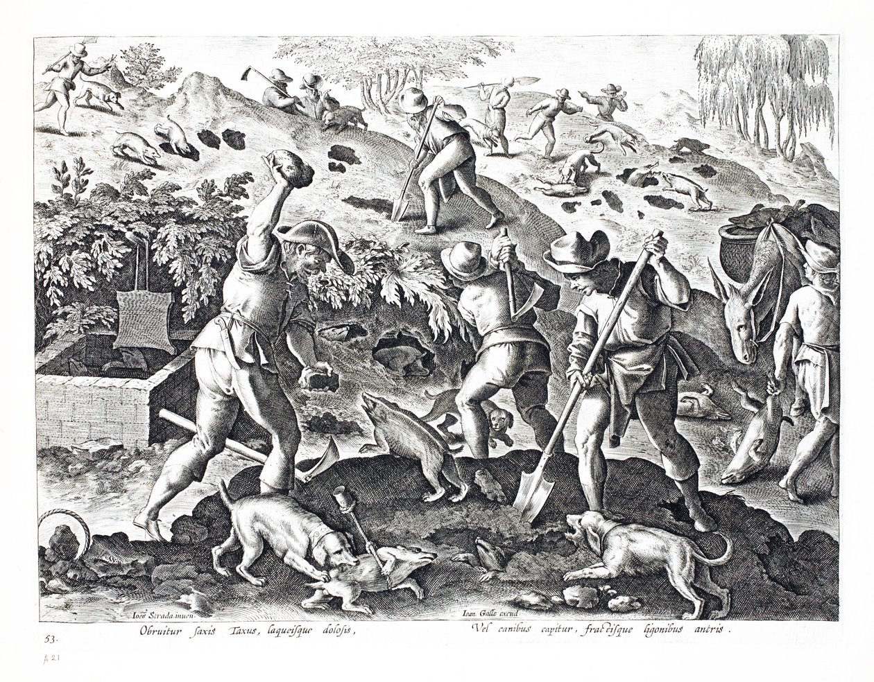 Ausgraben und Fangen von Dachsen, Illustration aus 