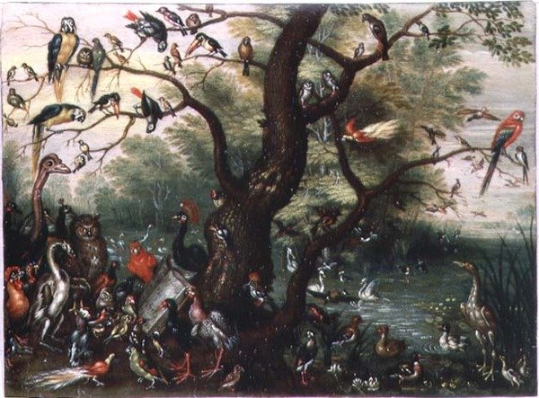 Konzert der Vögel von Jan van the Elder Kessel