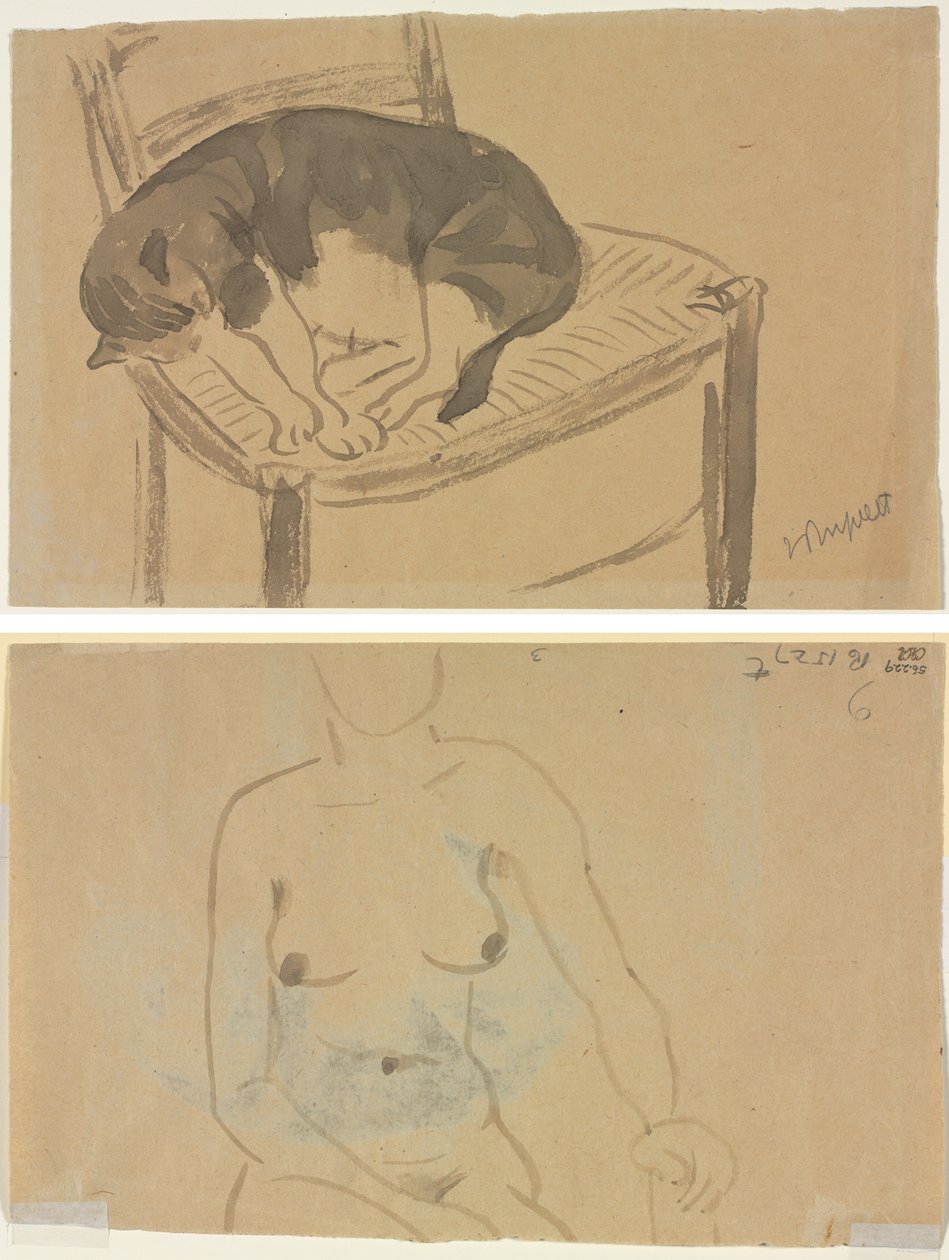 Schlafende Katze (recto) Torso einer nackten Frau (verso) von Jane Poupelet