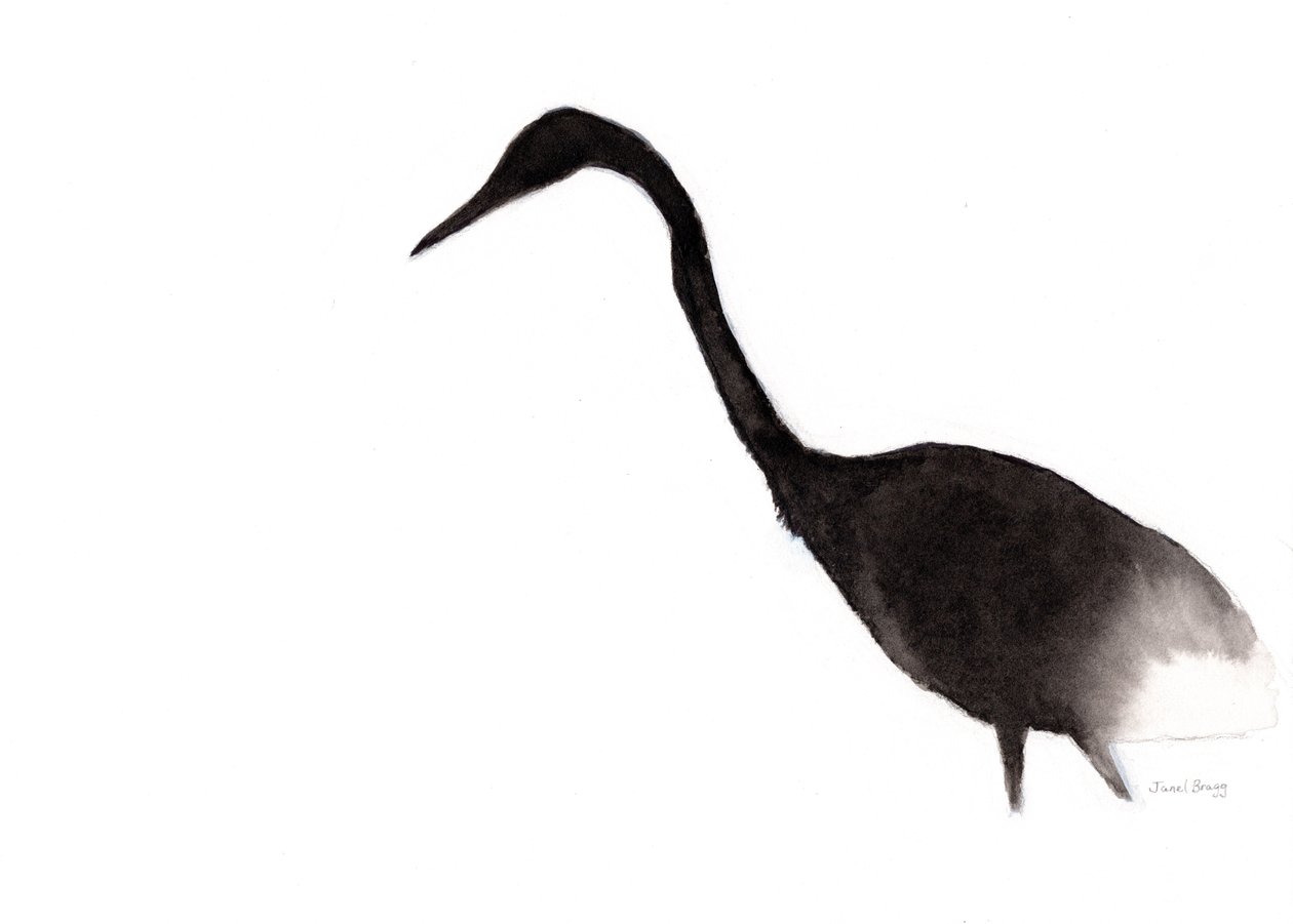 Reiher in Tinte von Janel Bragg