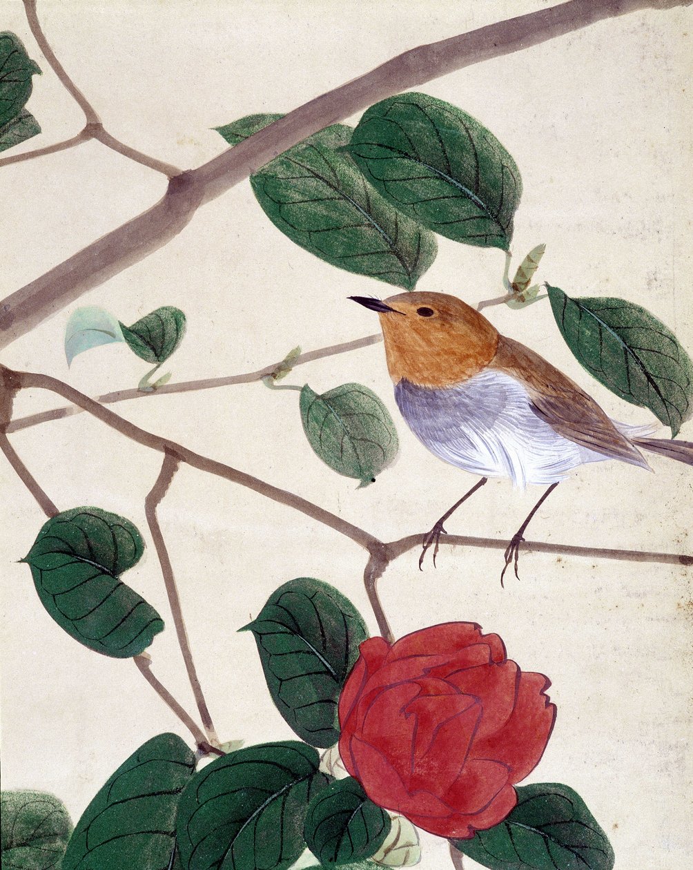 Vogel und Blumen. Japanische Zeichnung von Riou Chim, Ende des 19. Jahrhunderts von Japanese School