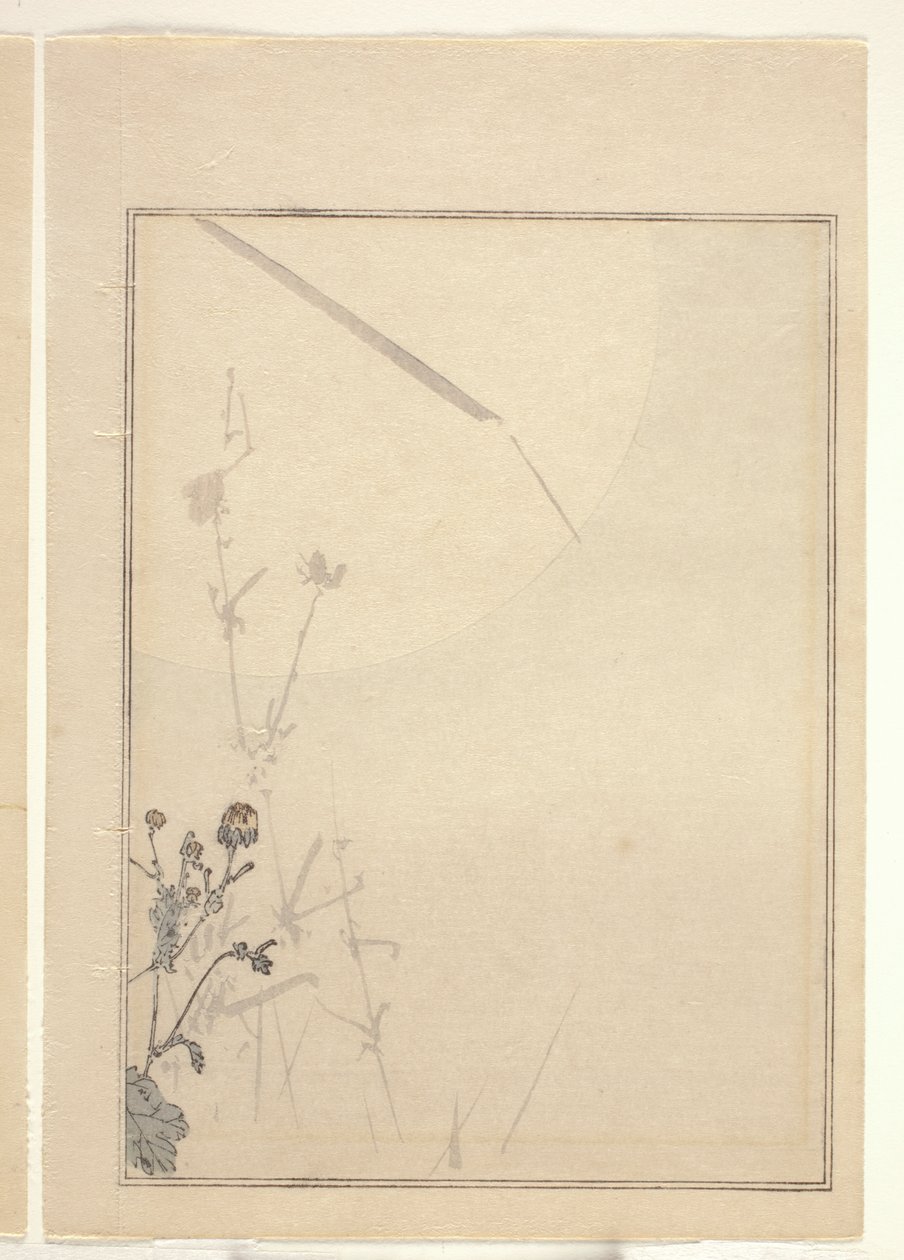 Chrysanthemen von Japanese School
