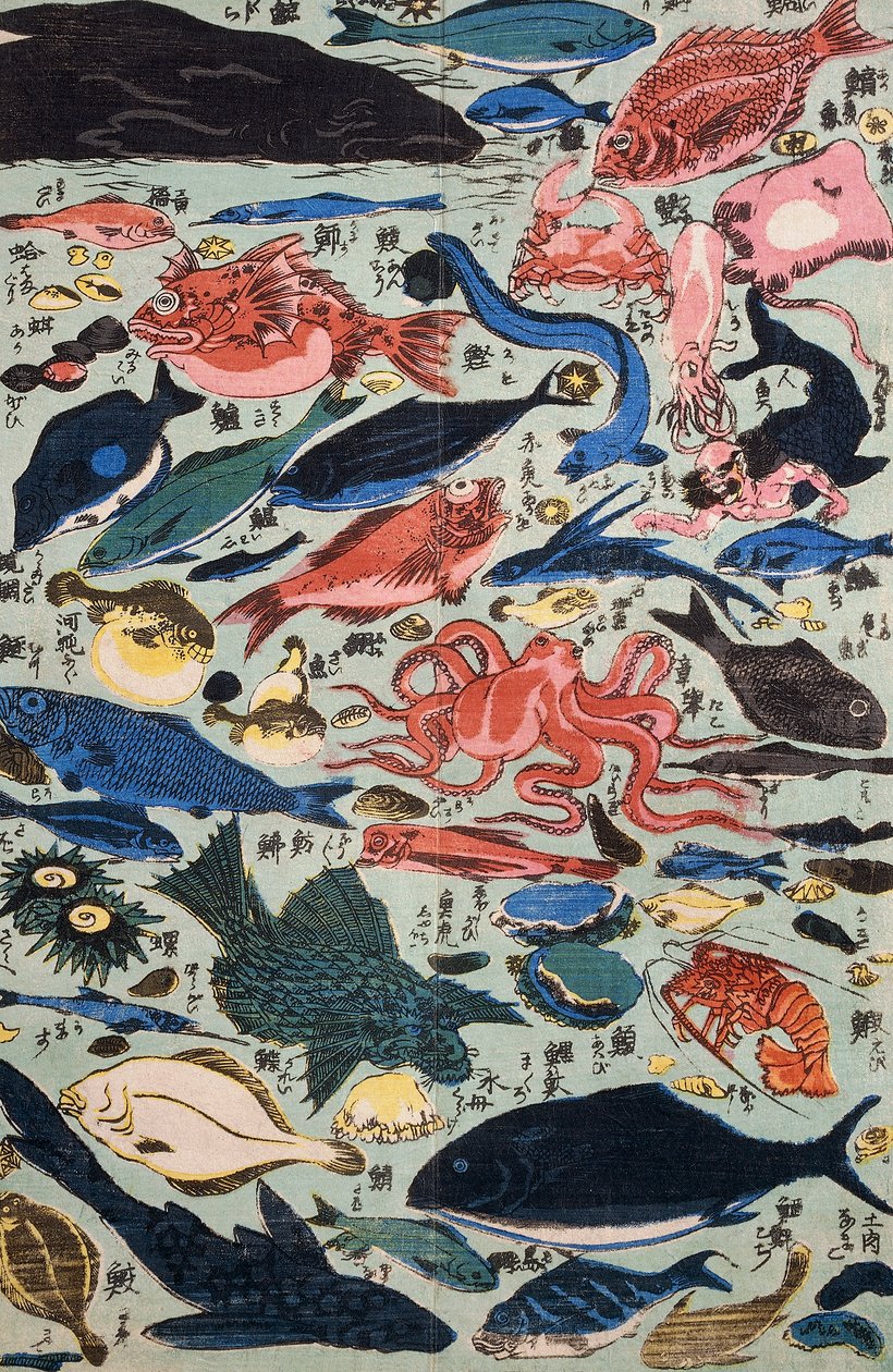 Frischer Fisch, Weichtiere und Krustentiere von Japanese School